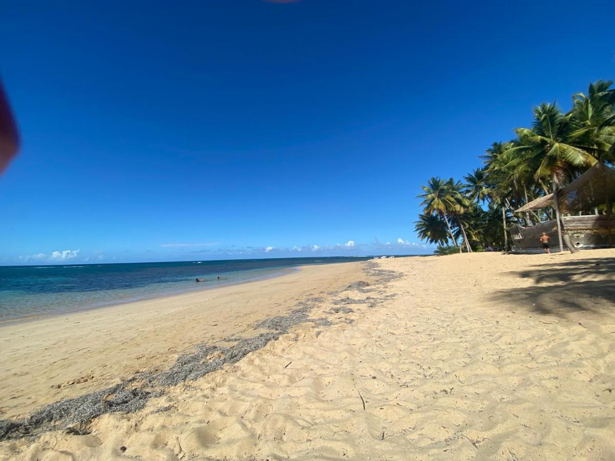 Las Terrenas Beachfront 2 Bedrooms Condo With Pool Zewnętrze zdjęcie